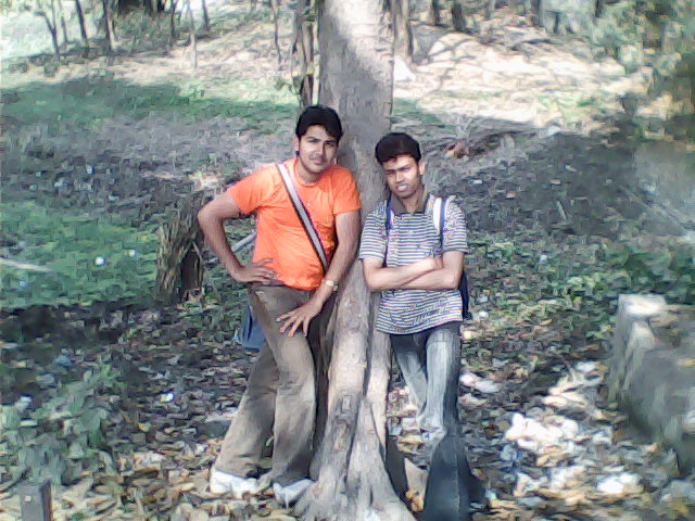 frndz